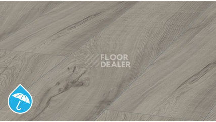 Ламинат Kronotex Mammut Plus d4671 Дуб Магнум Серый фото 1 | FLOORDEALER